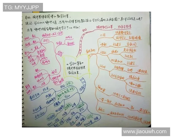 张秀英的羽毛球人生：从热爱到成就的深度对话与启示